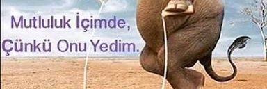 Senya Kardes banner