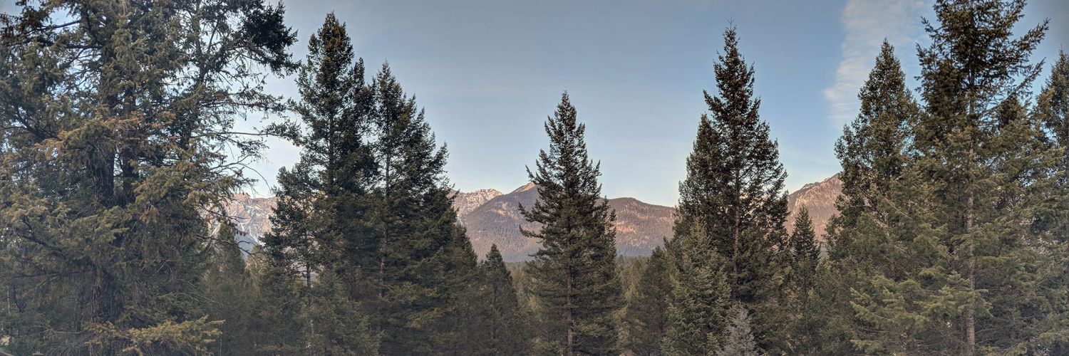 LostAgain🏎️🏁🏴‍☠️ banner