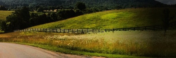 shannykelly's profile banner image