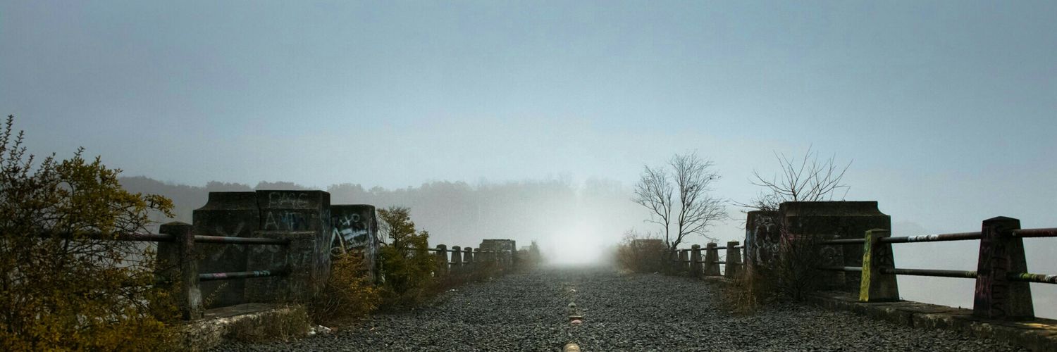 FaeTheWolf's profile banner image