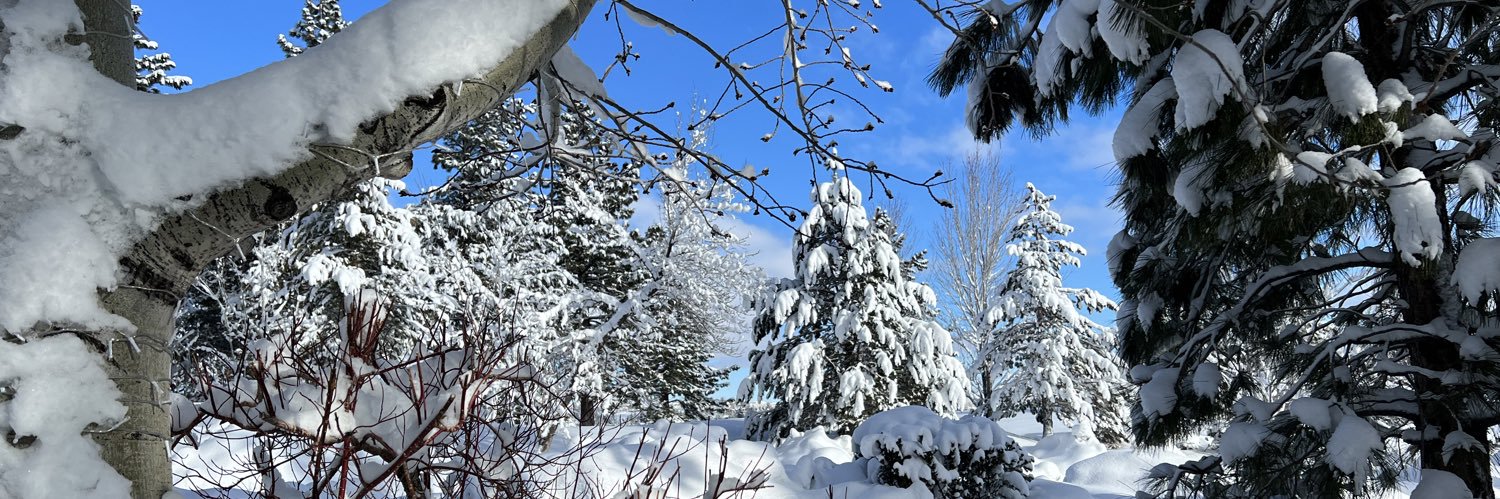 Laura Anthony banner