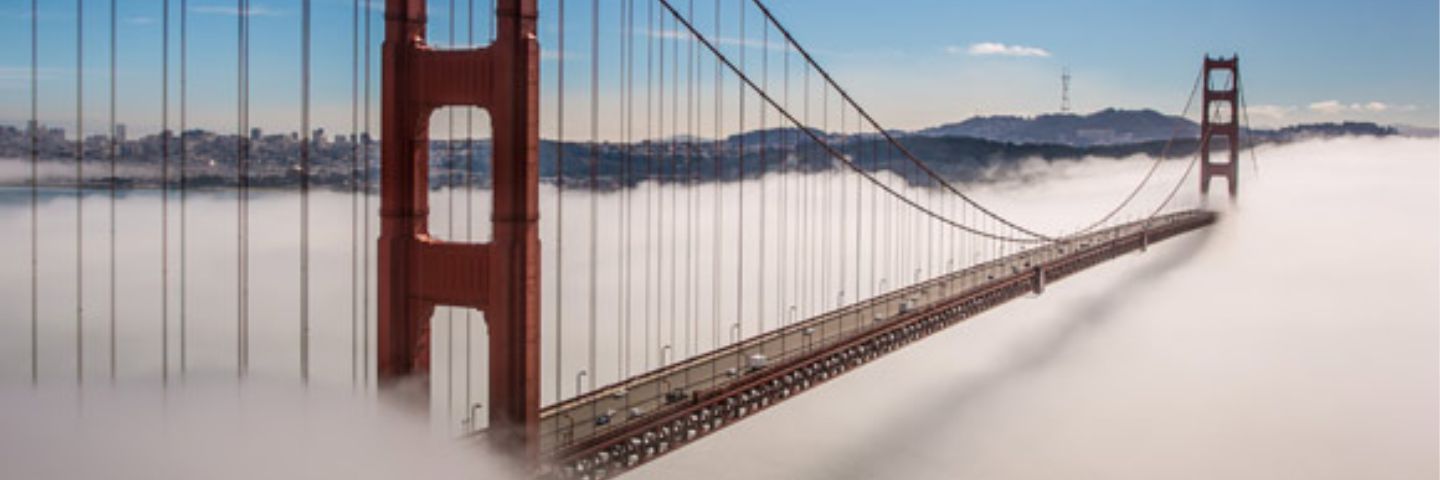Aldub49er's profile banner image