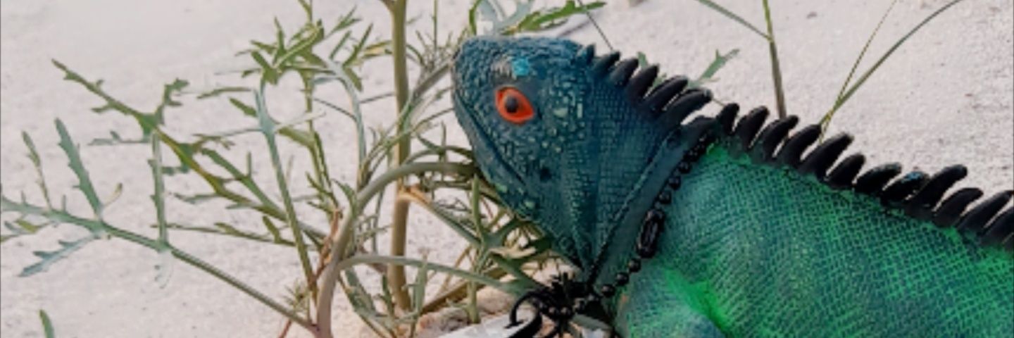 عيد الشمري .ED_OTS banner