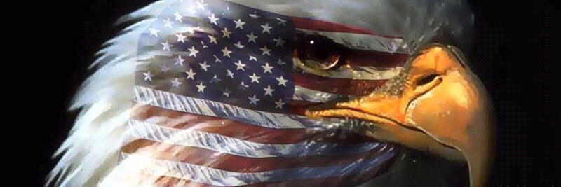BillOfRights2nd's profile banner image