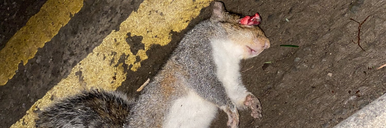 George Sutton banner