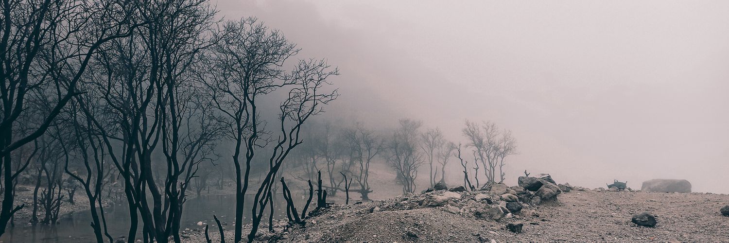 berizikh's profile banner image