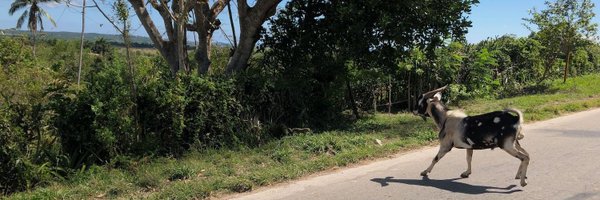 joebyer Profile Banner