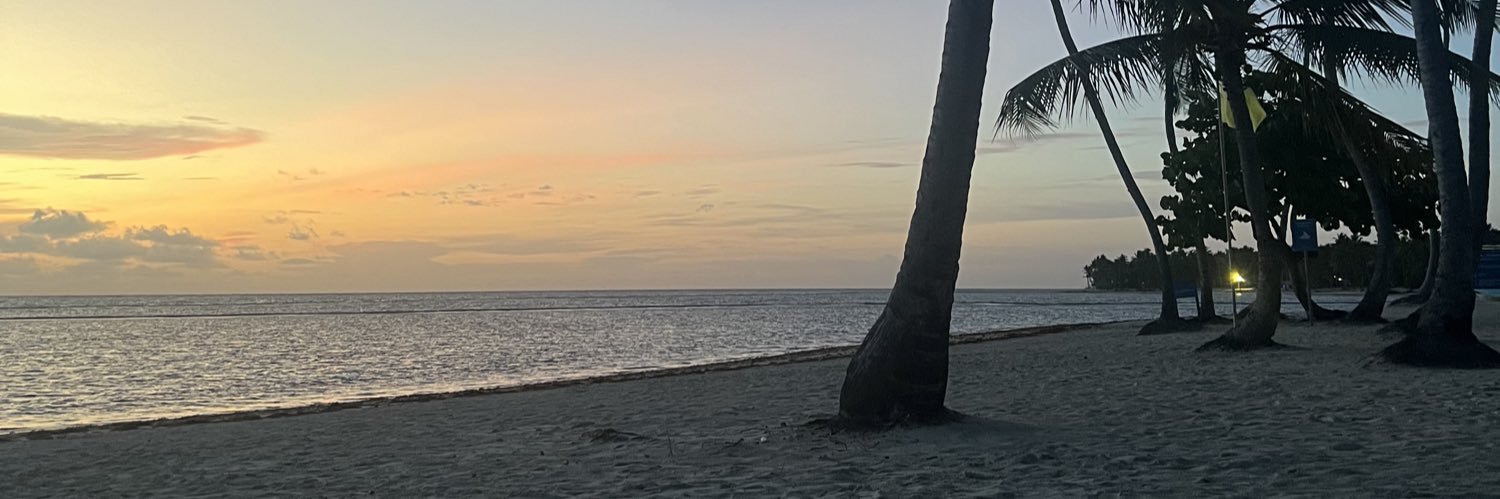 laurenrunnacles's profile banner image