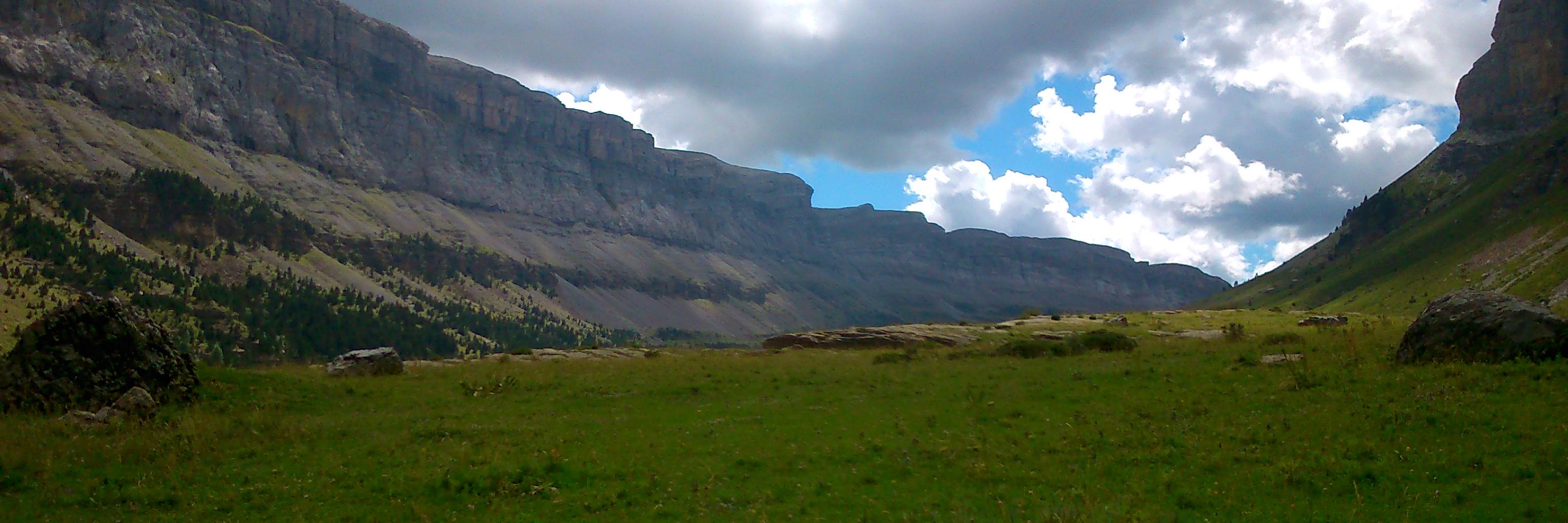 Guillermo Fernández banner