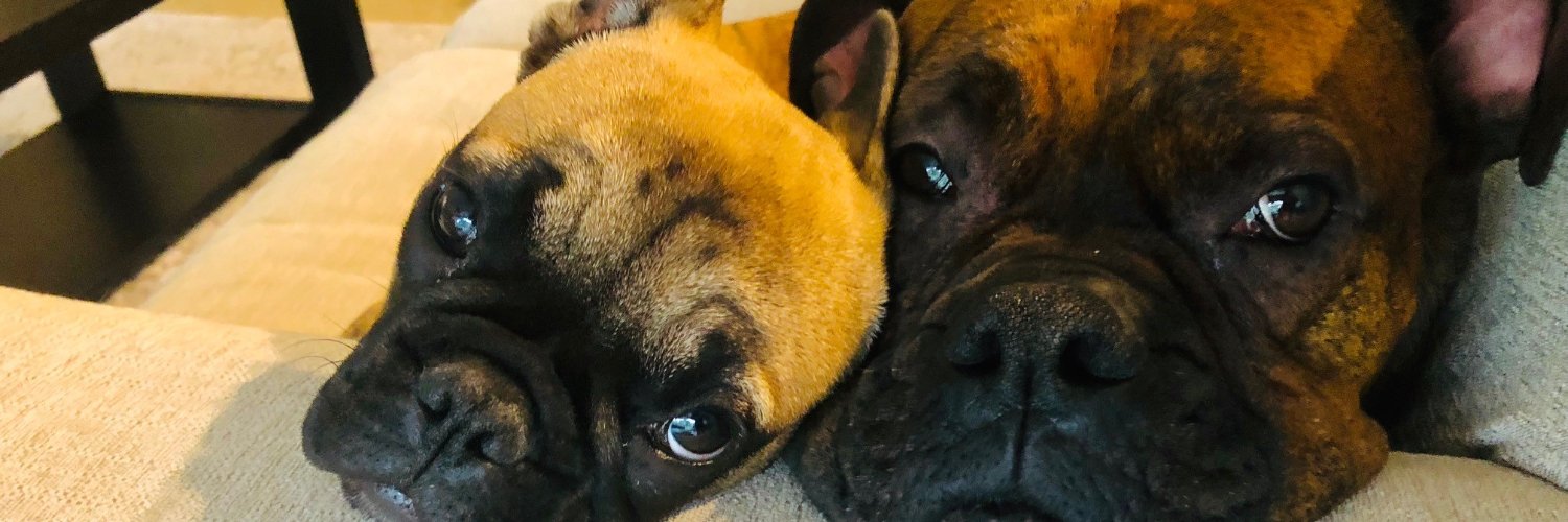 DoubleD in Florida banner