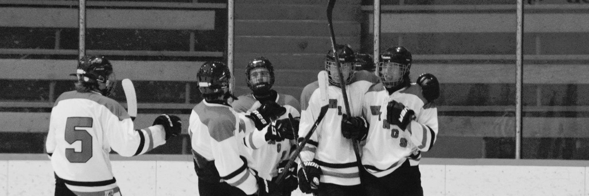 LCSWingshockey's profile banner image