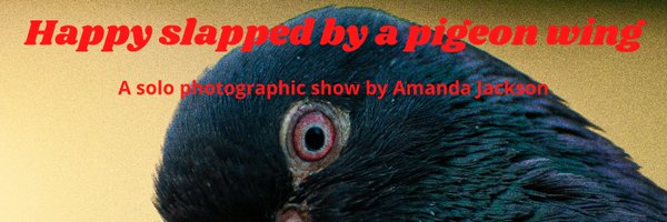 Lil_Book_Fiend Profile Banner