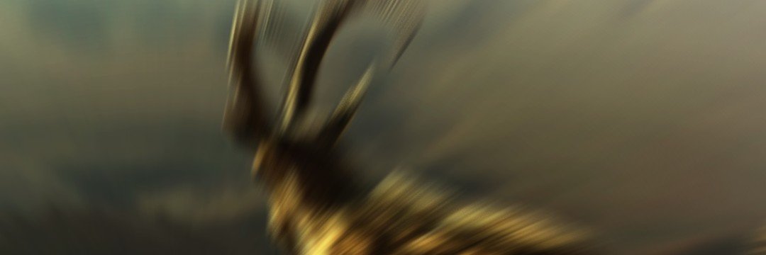 the706god's profile banner image