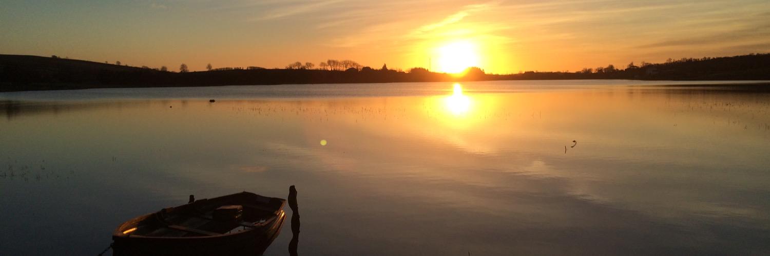 Brian Carolan banner