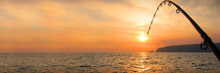 Anchor377's profile banner image