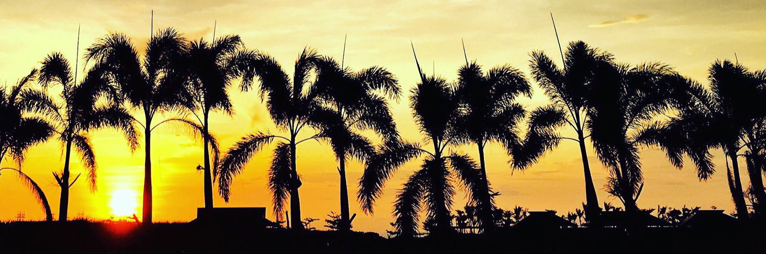 MarcPagulayan's profile banner image