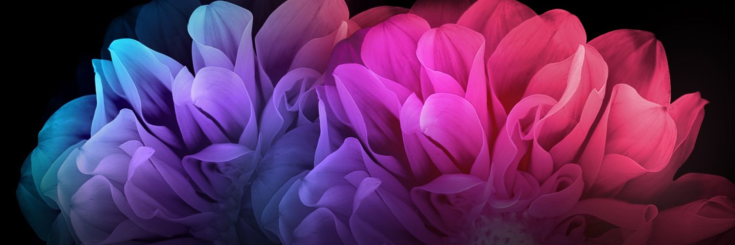 ersinserdal's profile banner image