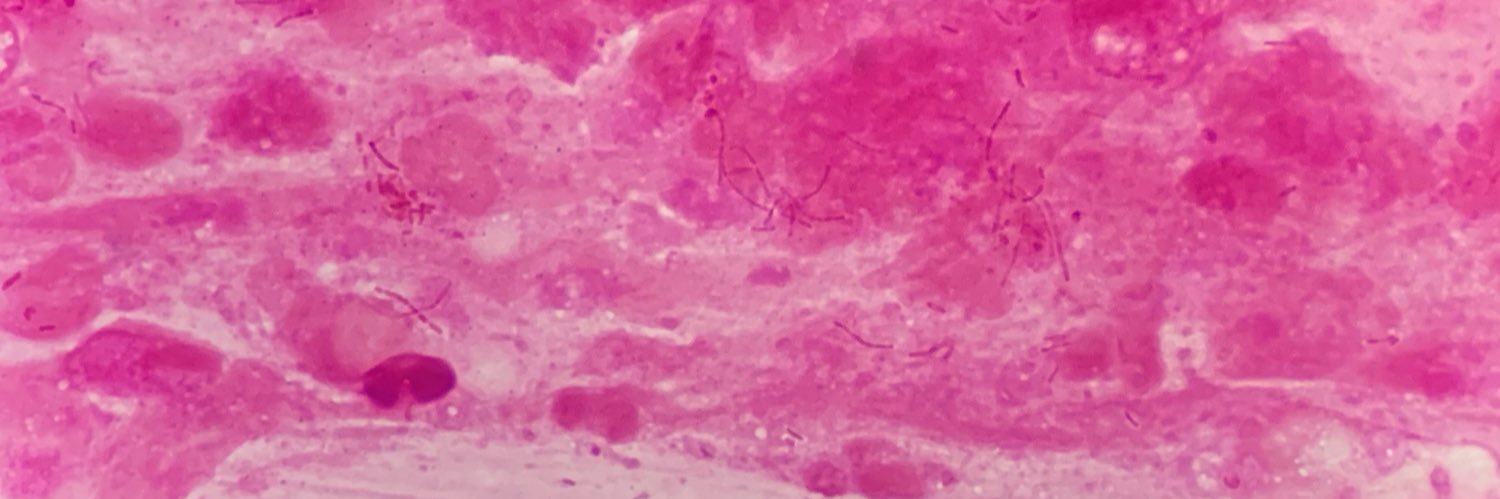 hrkz1985's profile banner image