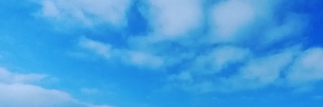 SeydaOztek's profile banner image