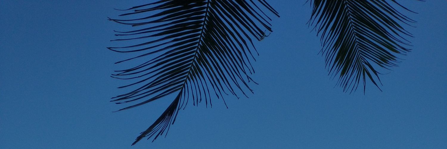 Prysgues's profile banner image