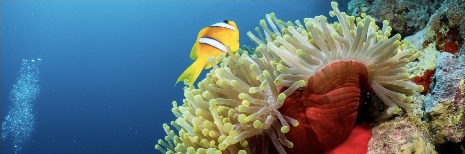 حمدان سليمان البلوي banner