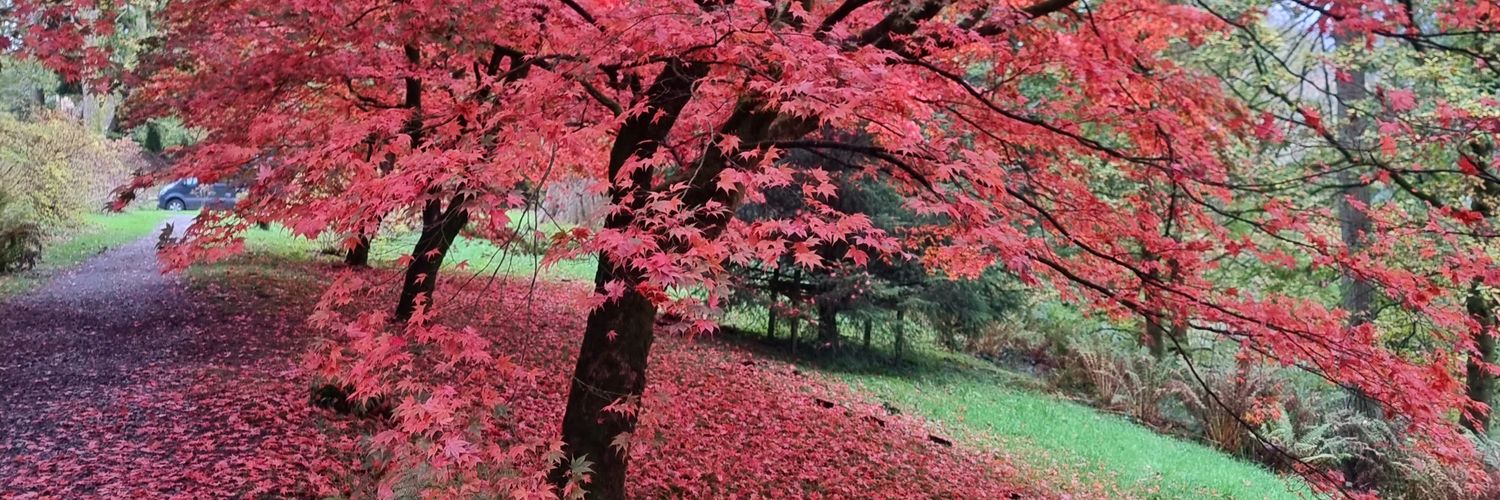 crazeeleigh's profile banner image