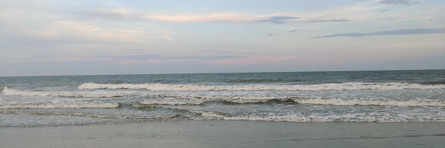 bearlyclaire's profile banner image