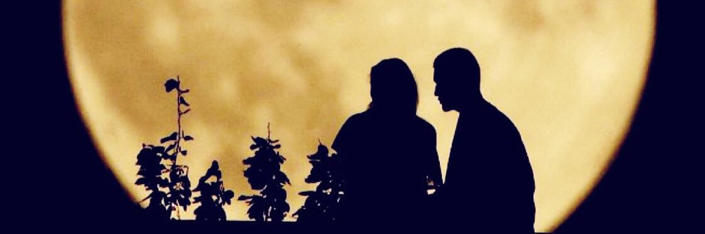 bdr41's profile banner image