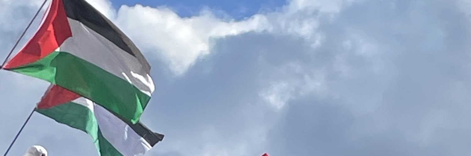 Shay banner
