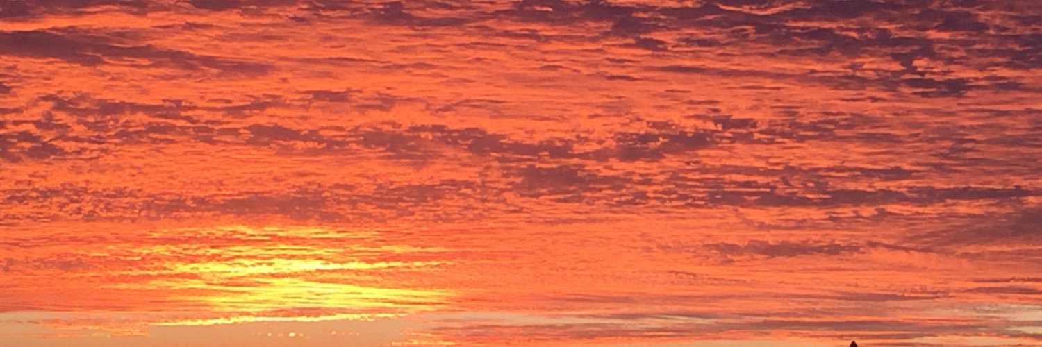 dbrownbes's profile banner image