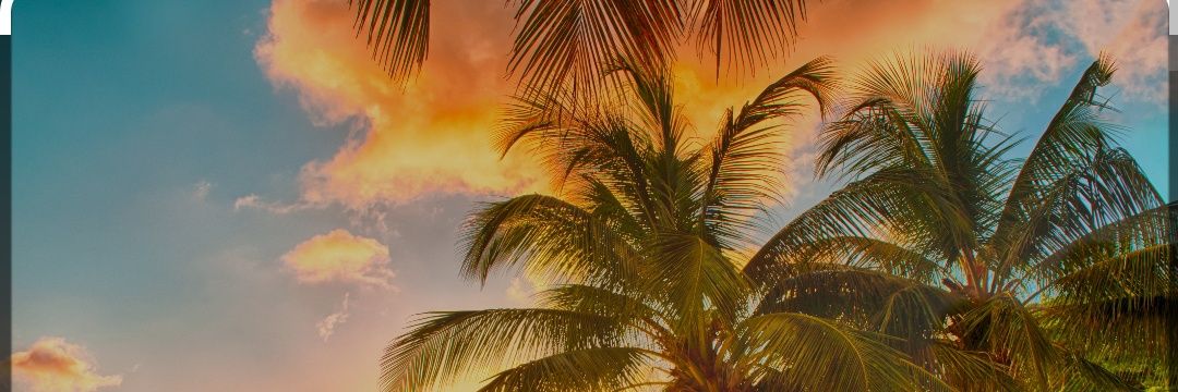 ABCbants_Luna banner