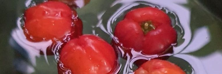 TanJameson's profile banner image