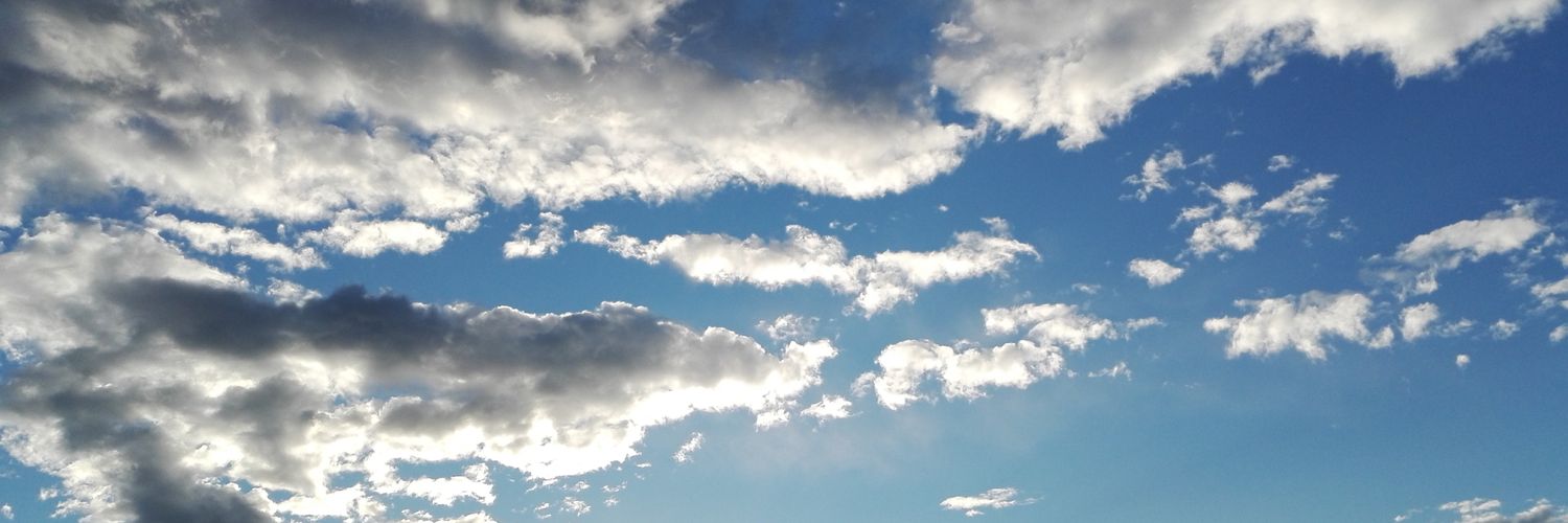 Emanuela Genovesi banner