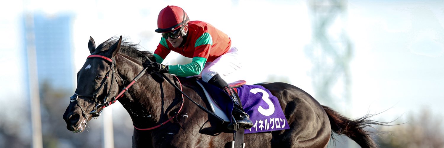 シーグラス🐴 banner