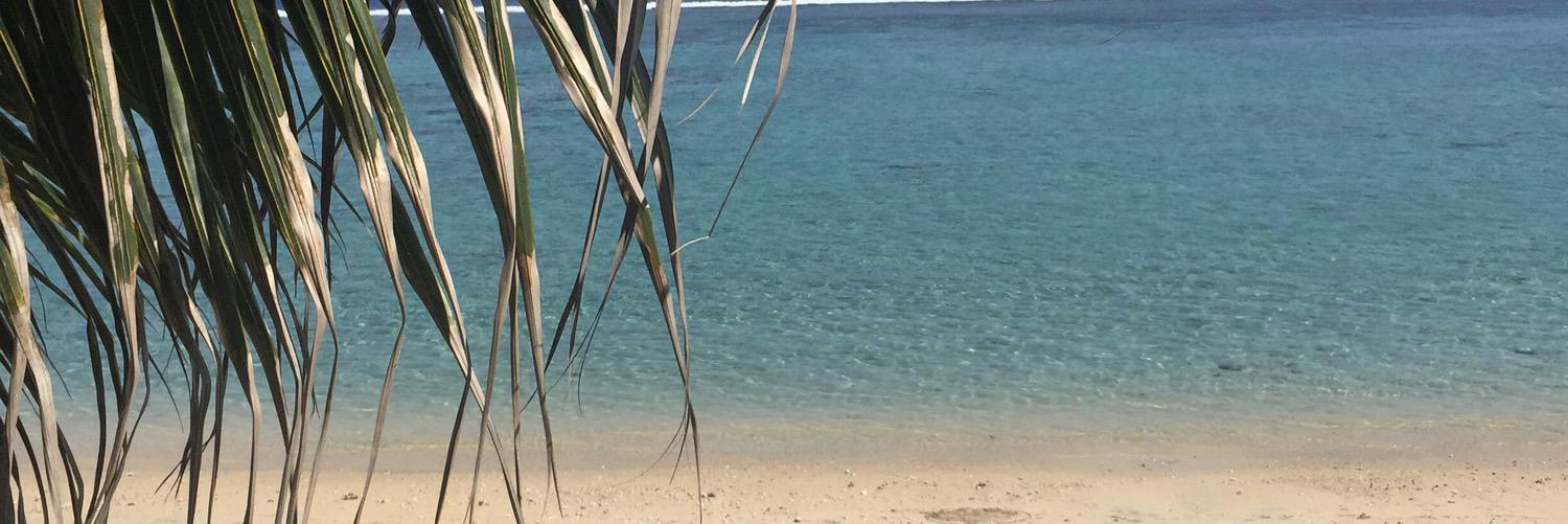 Mandrichi jjacques banner