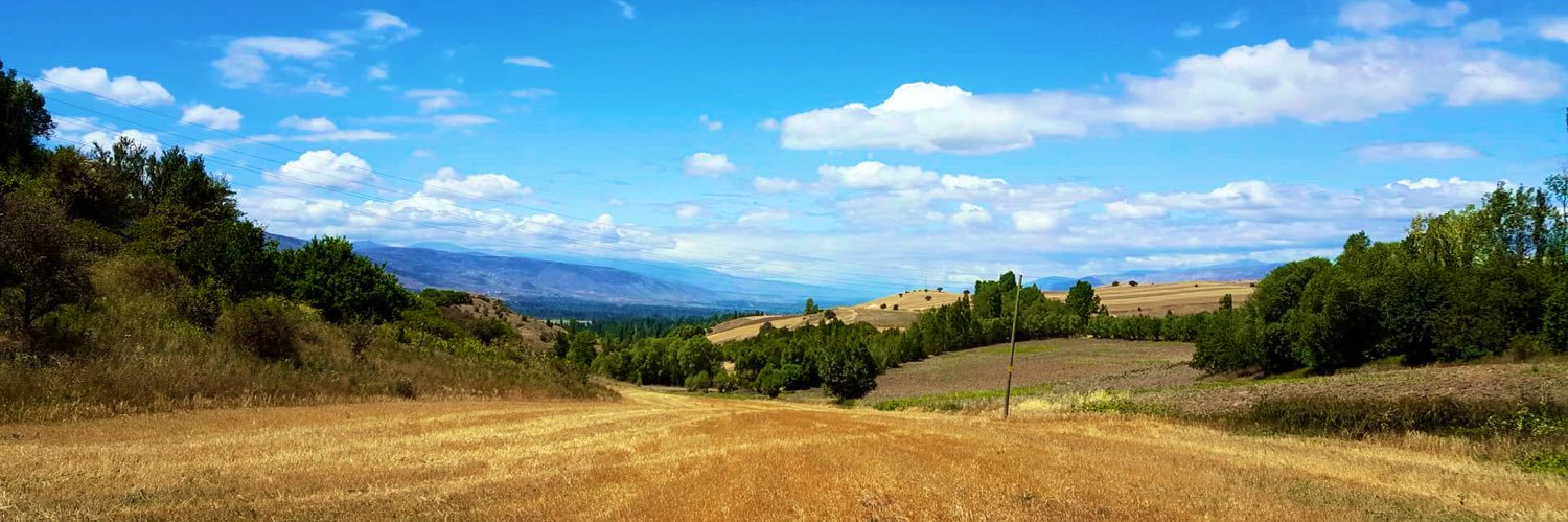 Bahar Çınar banner