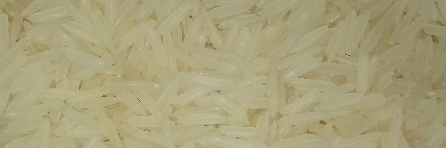 Reigncommodity's profile banner image
