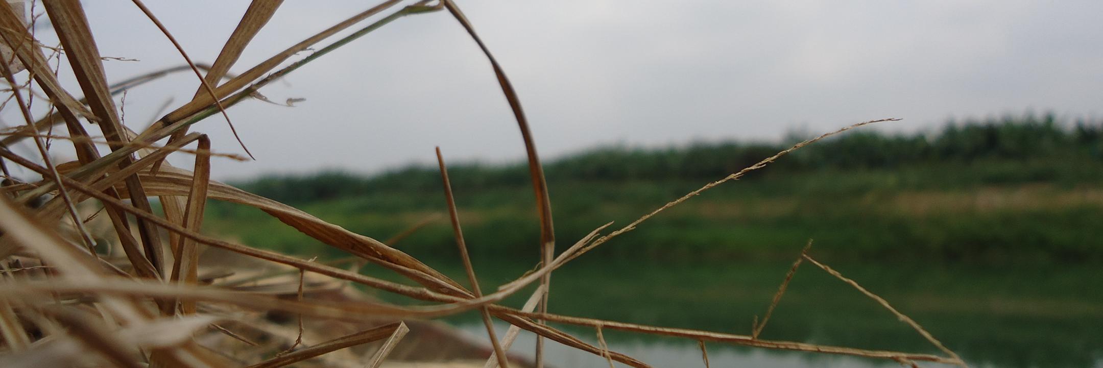 jonwi1996's profile banner image