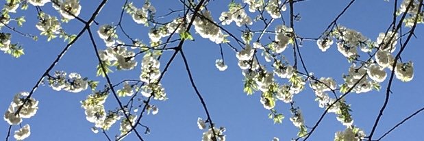 mdlf74's profile banner image