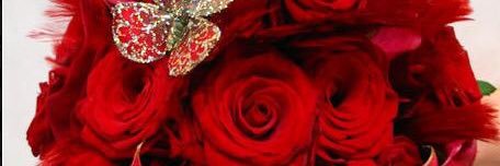 abukhalid1982's profile banner image