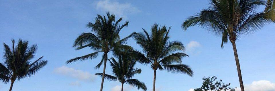 Merangko's profile banner image