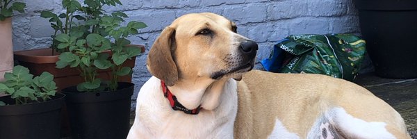 Magsy78 Profile Banner