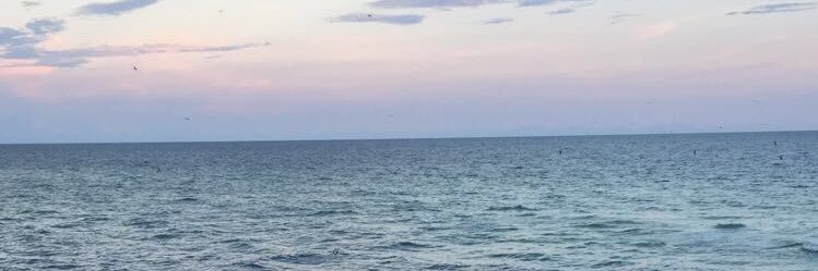-A✨ banner