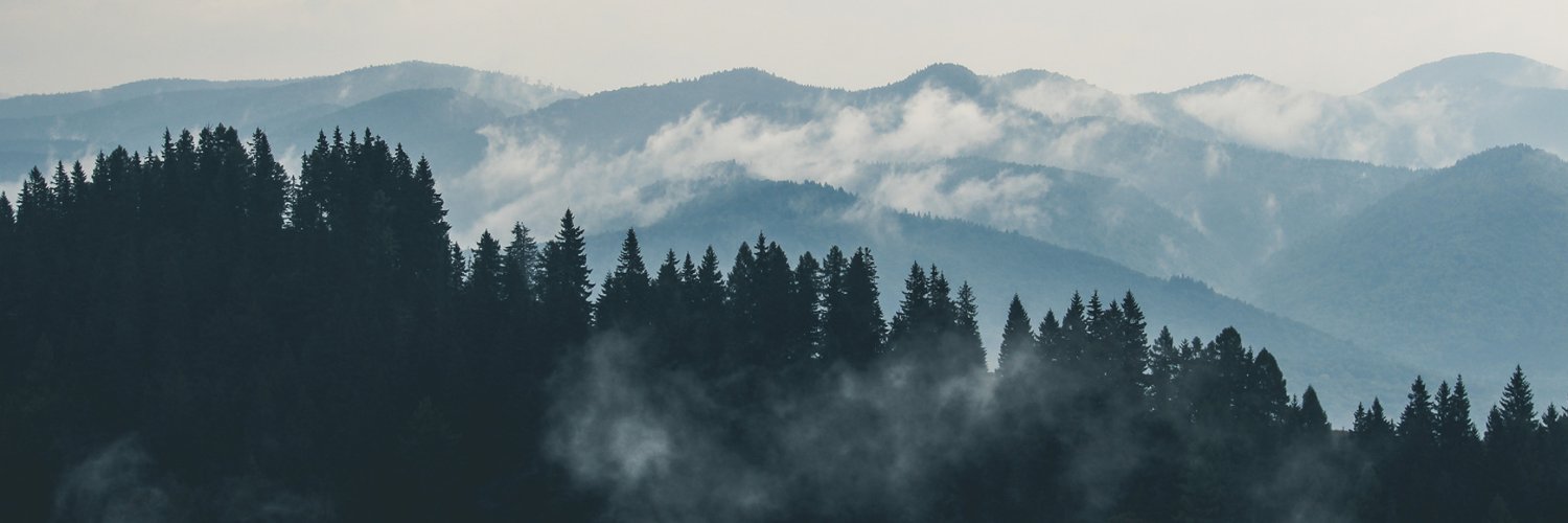 jacksonhardin1's profile banner image