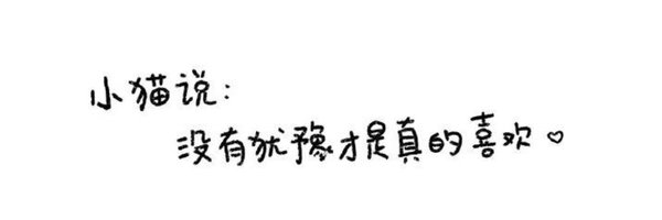 发骚喵喵 banner