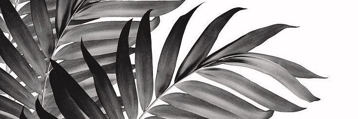 NattyDina's profile banner image
