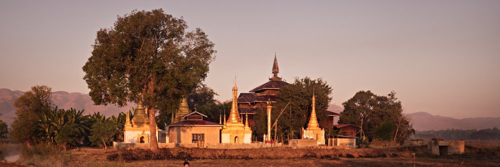 Andre Malerba banner