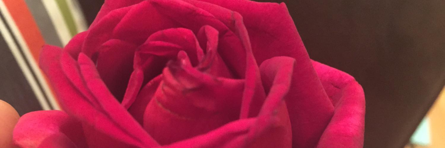 nani13133's profile banner image