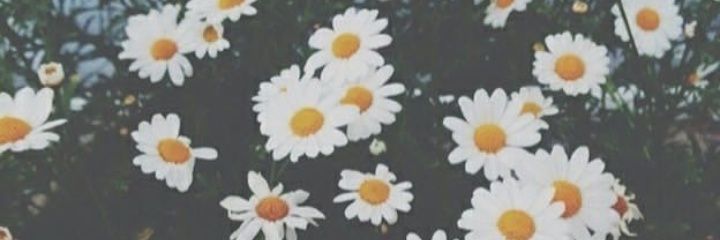 nahi_farina's profile banner image