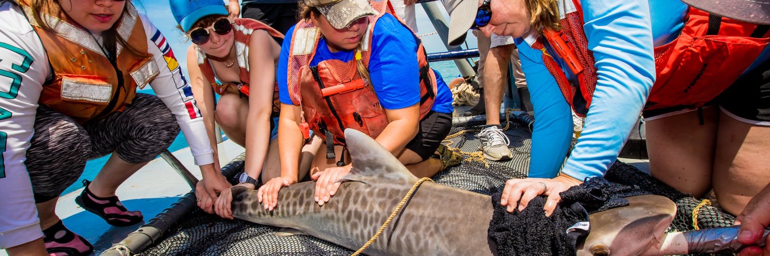 Dr. Jayne Gardiner banner